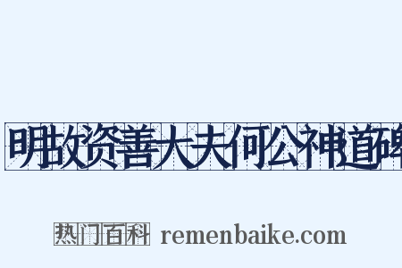 明故资善大夫何公神道碑是什么意思的图片